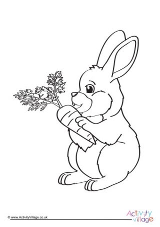Rabbit Colouring Page 8
