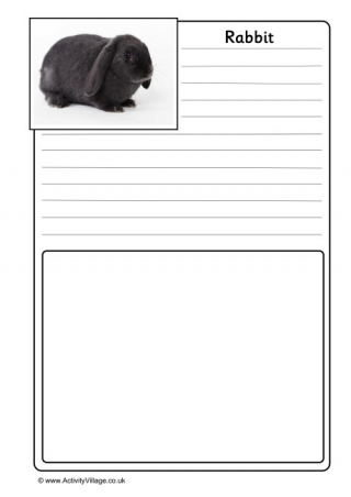 Rabbit Notebooking Page