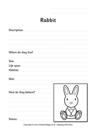 Rabbit Worksheet