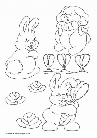 Rabbits Colouring Page