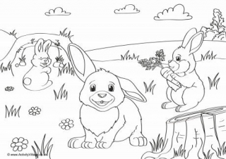Rabbits Scene Colouring Page