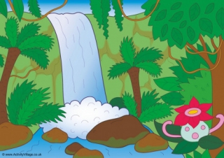 Rainforest Backdrop