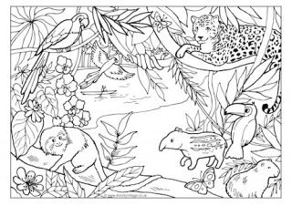 Rainforest Colouring Page