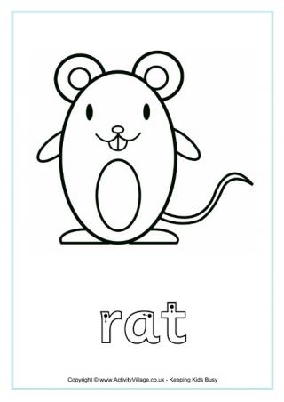 Rat Finger Tracing