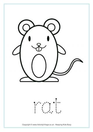 Rat Tracing Worksheet