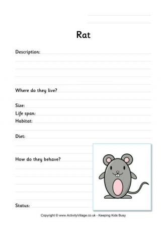 Rat Worksheet