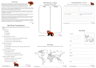 Red Panda Project Pack