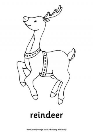 Reindeer Colouring Page