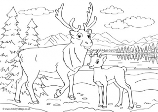 Reindeer Scene Colouring Page