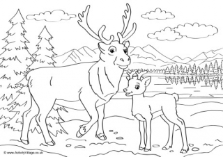 Reindeer Scene Colouring Page