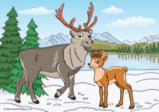 Reindeer Scene Poster