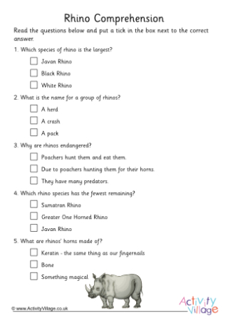 Rhino Comprehension Multiple Choice 