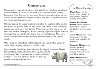 Rhino Fact Sheet Printable 