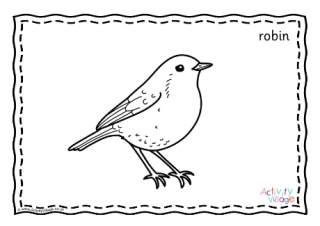 Robin Colouring Page 2