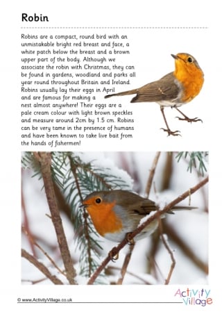 Robin Fact File