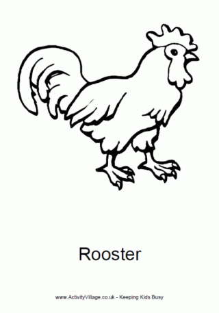 Rooster Colouring Page