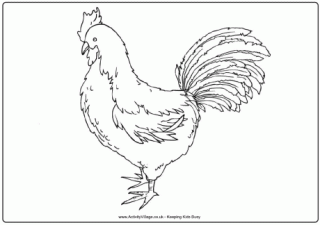 Rooster Colouring Page 2