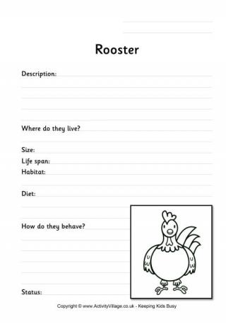 Rooster worksheet