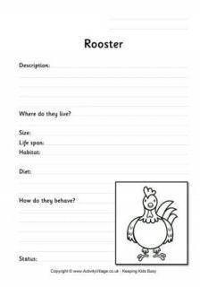 Rooster Worksheets