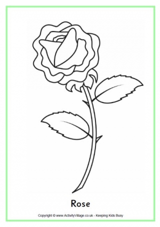 Rose Colouring Page 3
