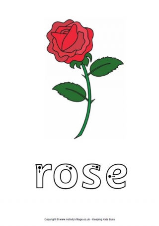 Rose Finger Tracing