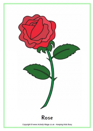 Rose Poster