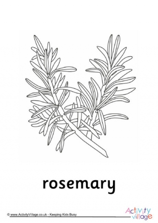 Rosemary Colouring page