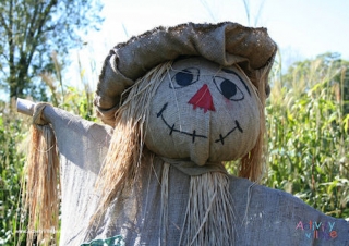 Scarecrow Poster 2