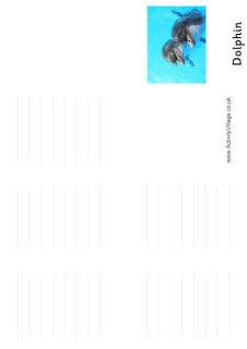 Sea Creature Booklets