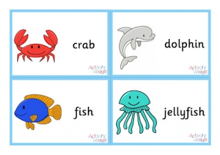 Sea Creature Flashcards - Small