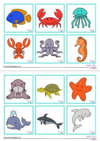 Sea Creature Game Cards