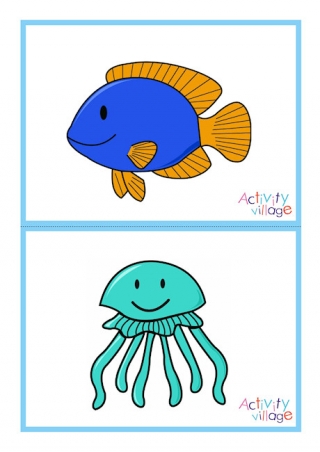 Sea Creature Picture Flashcards