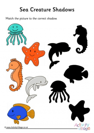 Sea Creature Shadow Puzzle