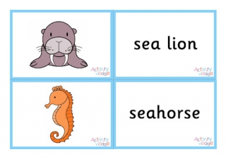 Sea Creature Vocabulary Matching Flashcards