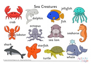 Слово креатура. Sea animals for Kids. Sea creatures Flashcards. Sea animals Flashcards for Kids. Sea creatures for Kids.