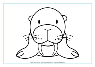 Sea Lion Colouring Page