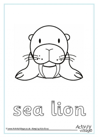 Sea Lion Finger Tracing