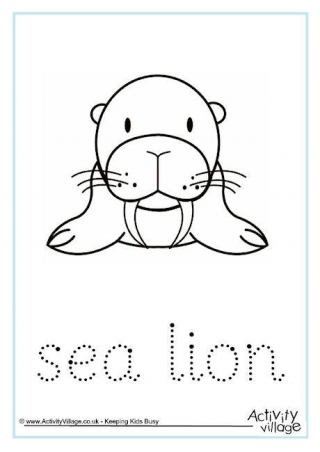 Sea Lion Word Tracing