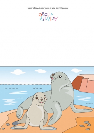 Sea Lions Scene Card