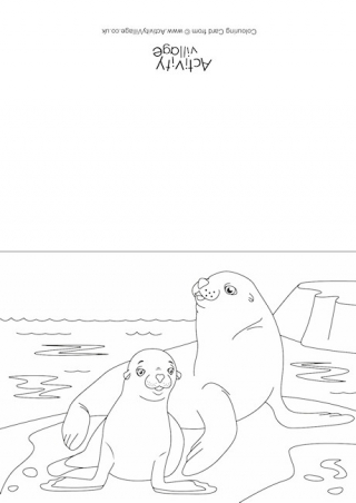 Sea Lions Scene Colouring Card