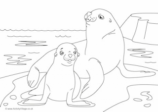 Sea Lions Scene Colouring Page