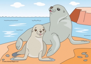 Sea Lions Scene Poster