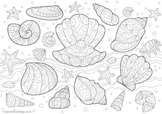 Sea Shells Doodle Colouring Page