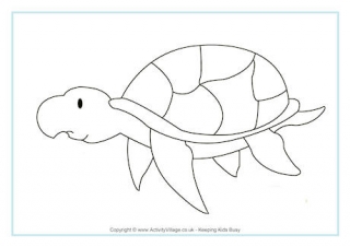 Sea Turtle Colouring Page