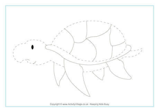 Sea Turtle Tracing Page
