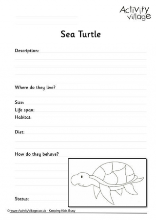 Sea Turtle Worksheet