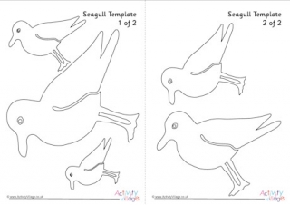 Seagull Template