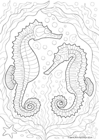 Seahorse Doodle Colouring Page