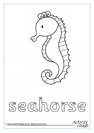 Seahorse Finger Tracing
