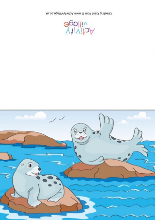 Seals Scene Card